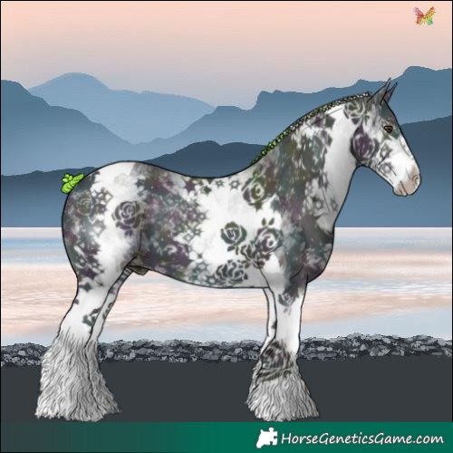 Horse Color:Watercolor White Spotted Midnight Liver Red Dun Ice Tobiano 