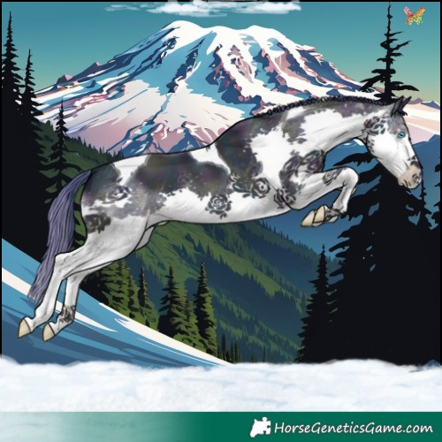 Horse Color:Watercolor Midnight Sable Cream Champagne Pearl Dun Splash Tobiano 