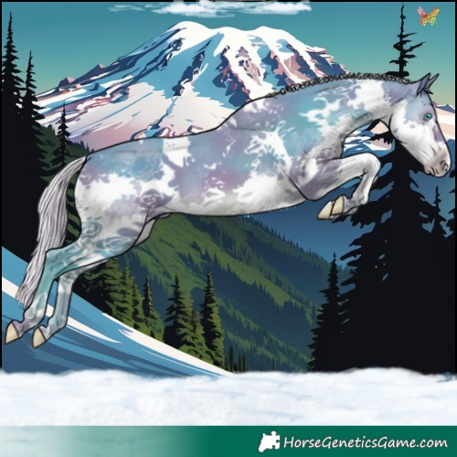 Horse Color:Watercolor White Spotted Silver Brown Splash