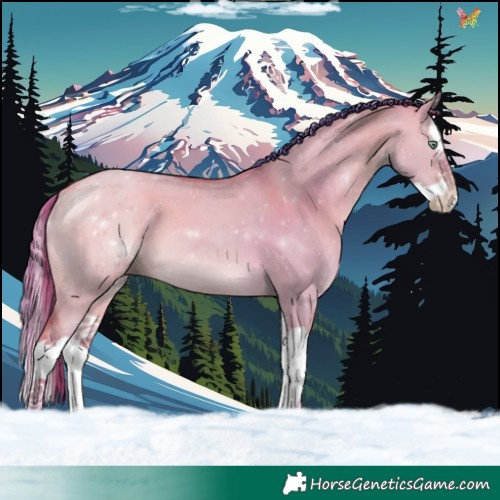 Horse Color:Watercolor Sable Champagne Dun Splash 
