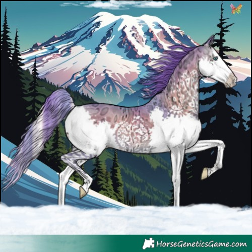 Horse Color:Watercolor Blue Onyx Ice Splash 