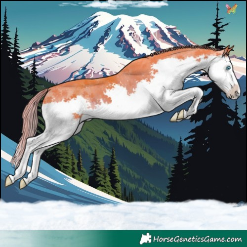 Horse Color:Watercolor Liver Chestnut Splash