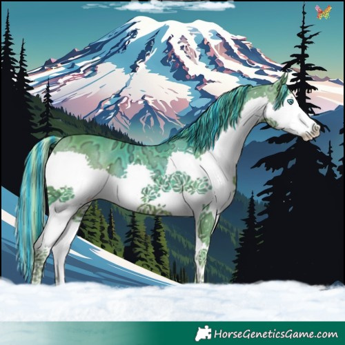 Horse Color:Painted Watercolor Liver Chestnut Ice Splash 