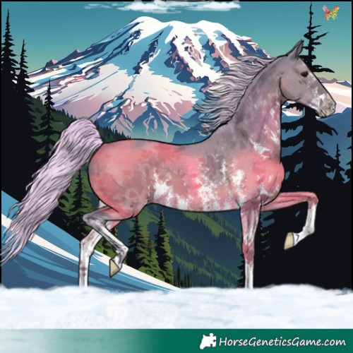 Horse Color:Watercolor Silver Black Sabino 