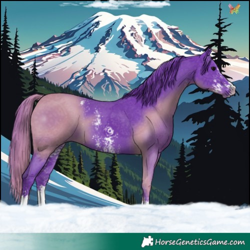 Horse Color:Watercolor Black Sabino 