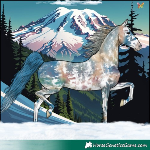 Horse Color:Watercolor Brown Sabino Splash 