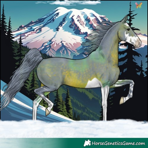 Horse Color:Watercolor Brown Splash 