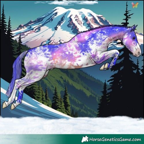 Horse Color:Watercolor Brown Sabino 
