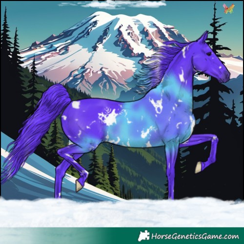 Horse Color:Watercolor White Spotted Black