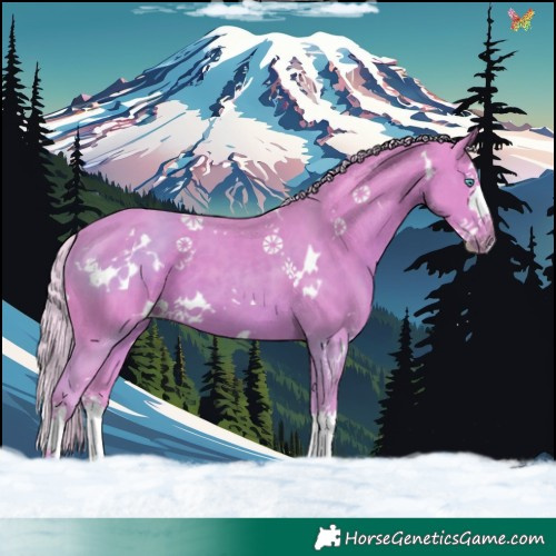 Horse Color:Watercolor White Spotted Silver Black Splash