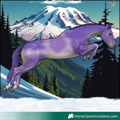 Horse Color:Watercolor Black