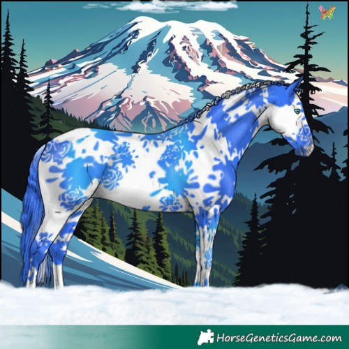 Horse Color:Watercolor Black Splash Tobiano 