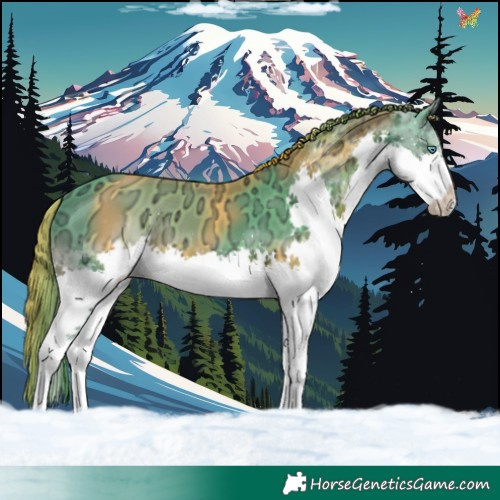 Horse Color:Watercolor White Spotted Black Ice Splash