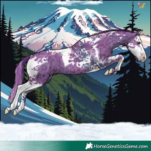 Horse Color:Watercolor Black Ice Splash Tobiano