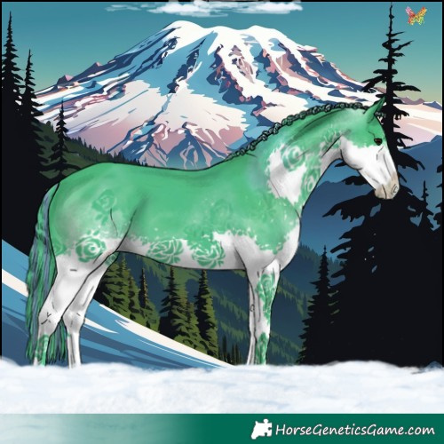 Horse Color:Painted Watercolor Black Splash