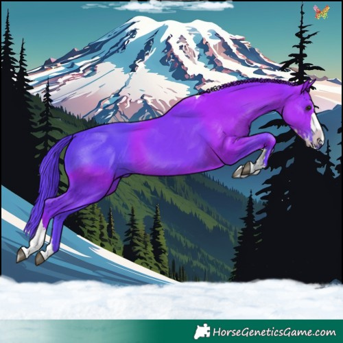 Horse Color:Watercolor Black Splash Tobiano