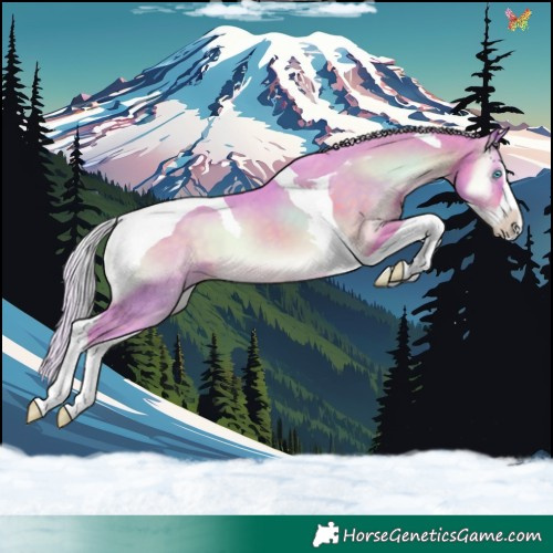 Horse Color:Watercolor Silver Brown Onyx Splash Tobiano