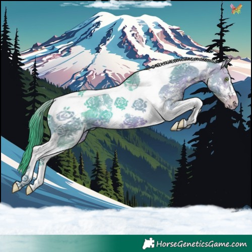 Horse Color:Watercolor Sable Champagne Sabino Tobiano