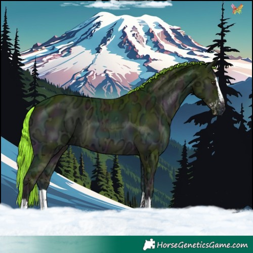 Horse Color:Watercolor Midnight Liver Red Onyx Ice Splash 