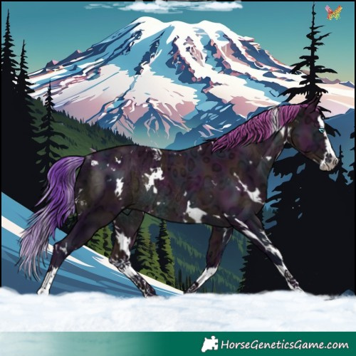 Horse Color:Watercolor White Spotted Midnight Brown Ice Splash Rabicano