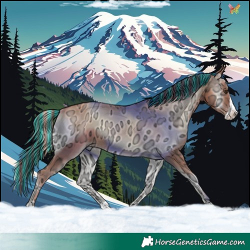 Horse Color:Painted Gold Champagne Ice Onyx Splash Rabicano