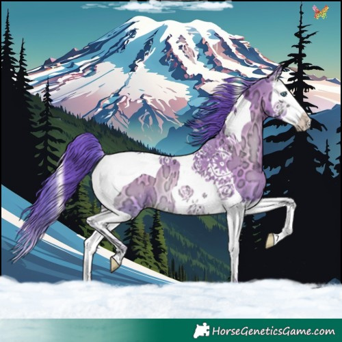 Horse Color:Watercolor Sable Champagne Ice Onyx Splash Tobiano Rabicano