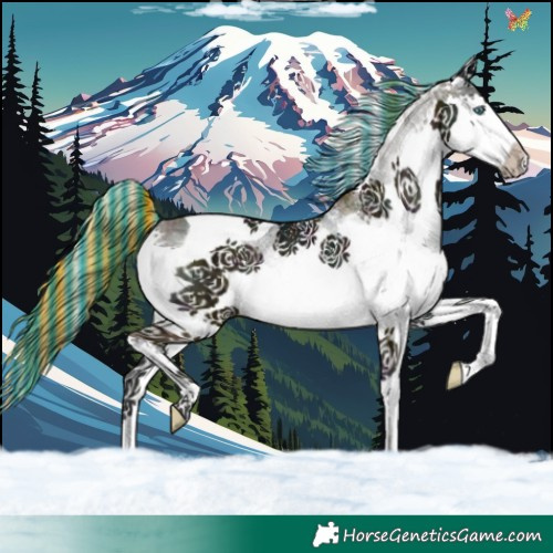 Horse Color:Painted White Spotted Midnight Brown Ice Onyx Splash Tobiano