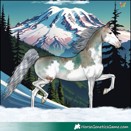 Horse Color:Painted Silver Blue Onyx Splash