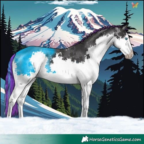 Horse Color:Painted Black Splash 