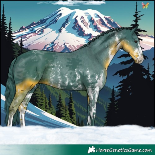 Horse Color:Watercolor Black Sabino