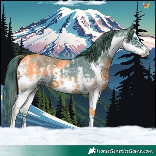 Horse Color:Watercolor Black Sabino Splash 