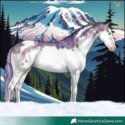 Horse Color:Watercolor Chocolate Blue Onyx Ice Sabino Splash Tobiano