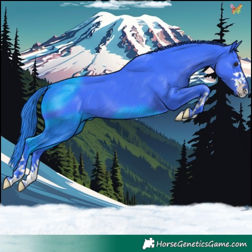 Horse Color:Watercolor Smoky Black
