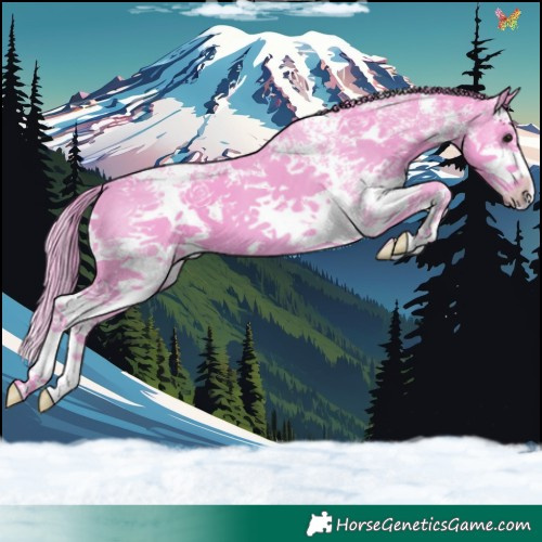 Horse Color:Watercolor Black Sabino