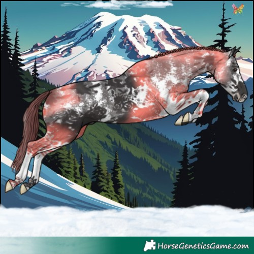 Horse Color:Smoky Black Sabino 