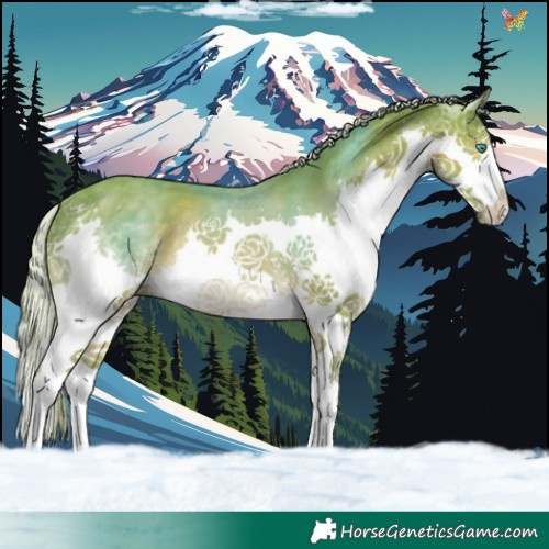 Horse Color:Watercolor Chocolate Palomino Splash
