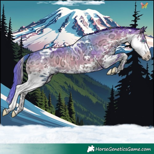 Horse Color:Watercolor Blue Onyx Ice Sabino Splash Tobiano