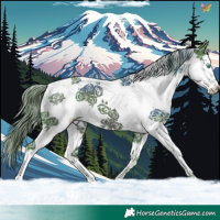 Horse Color:Watercolor Black Sabino Splash