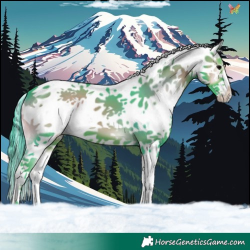 Horse Color:Watercolor Blue Onyx Sabino Splash 