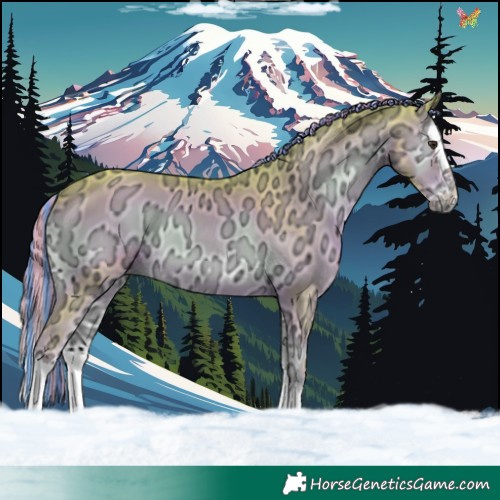 Horse Color:Painted Watercolor Liver Red Onyx Ice Splash