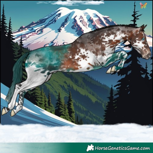 Horse Color:Brown Sabino Splash 
