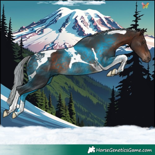 Horse Color:Silver Brown Tobiano Rabicano