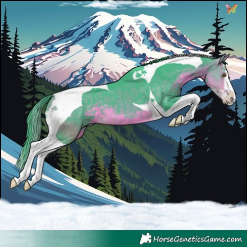 Horse Color:Watercolor Buckskin Splash Tobiano