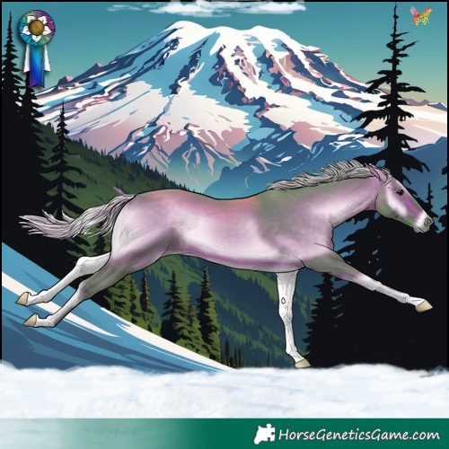 Horse Color:Watercolor Silver Brown Onyx