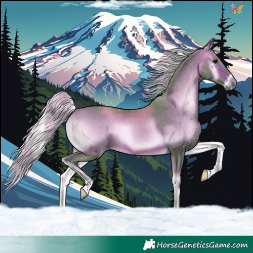 Horse Color:Watercolor Silver Brown Onyx 