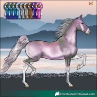 Horse Color:Watercolor Silver Brown Onyx 