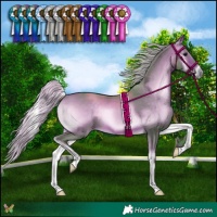 Horse Color:Watercolor Silver Brown Onyx 