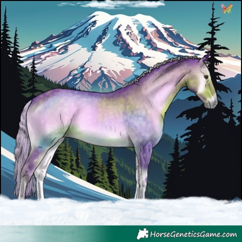 Horse Color:Watercolor Chocolate Palomino Onyx