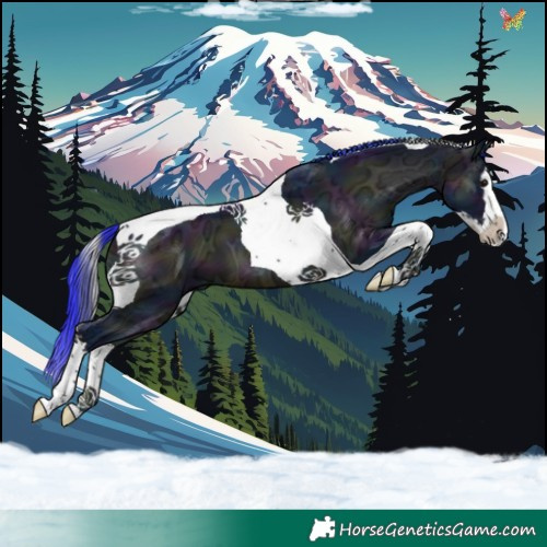 Horse Color:Watercolor Midnight Brown Ice Onyx Splash Tobiano
