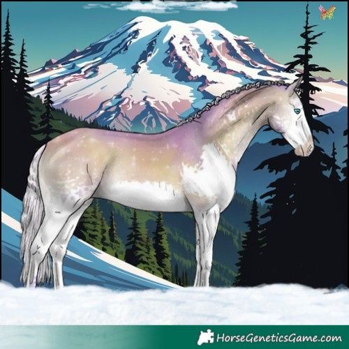Horse Color:Watercolor Silver Buckskin Onyx Splash 